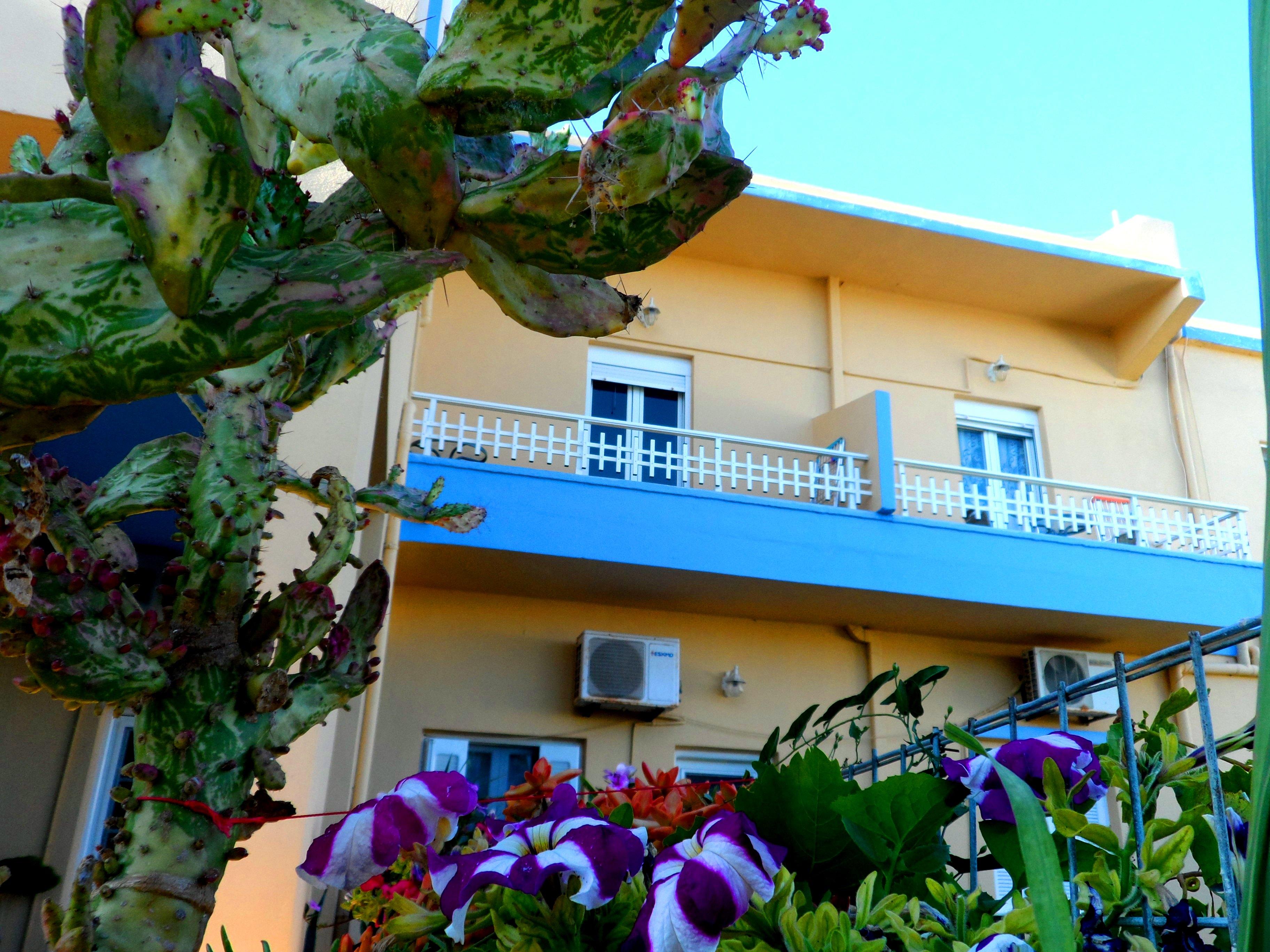 Apart Otel Papafotis & Alinda (Leros)